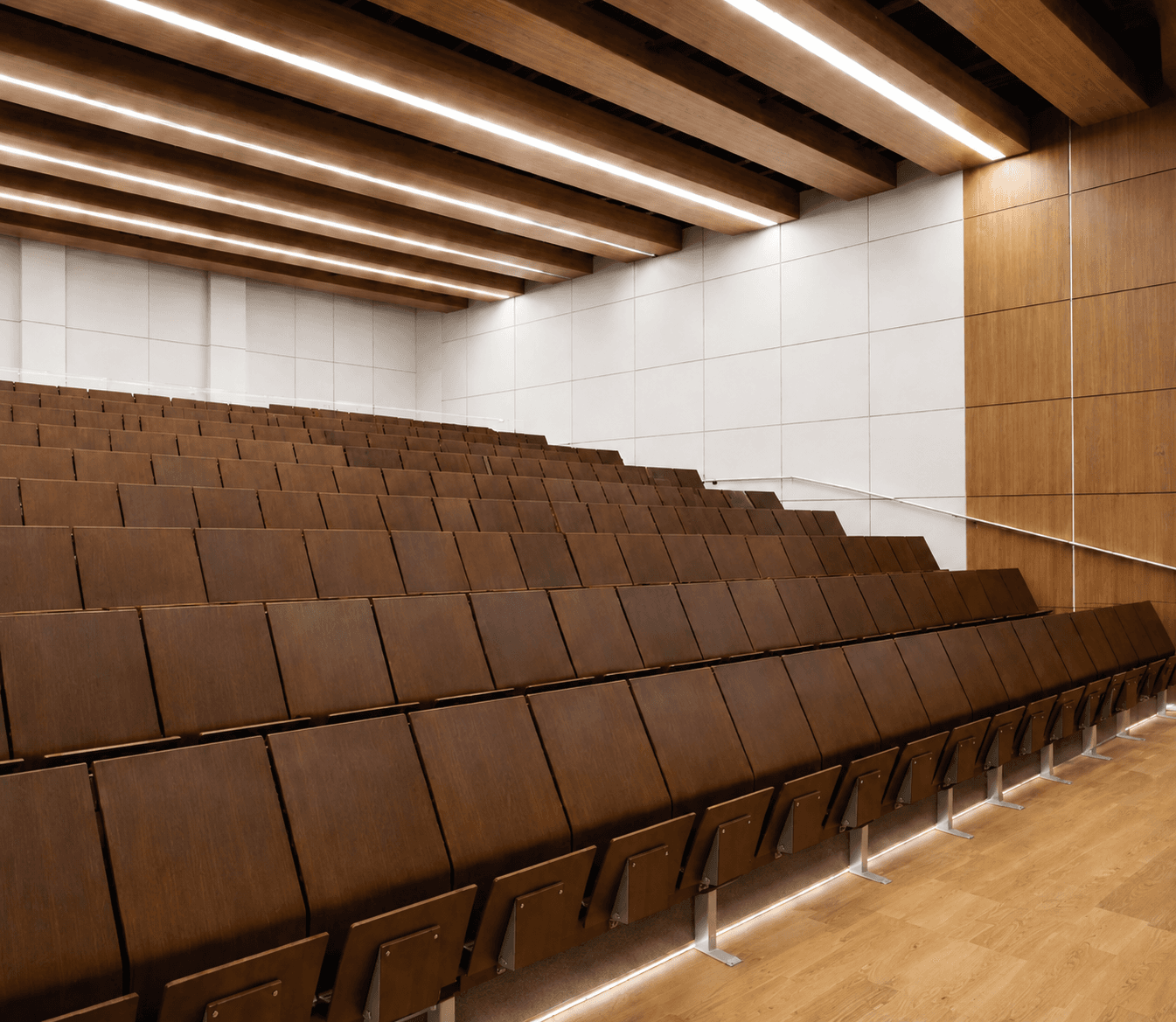 Auditorium Chair – Upholstered Seat with Wooden Back Panel and Fold-Up Seat